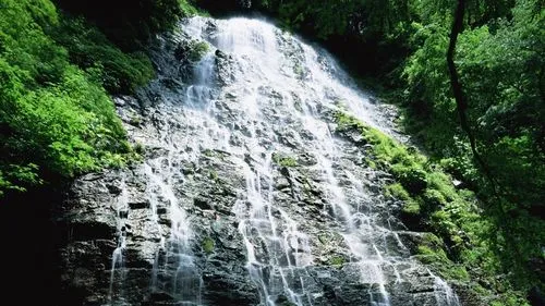 精密智能化